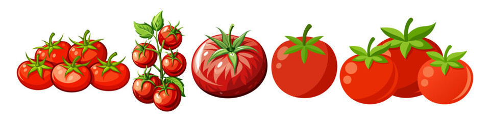 tomato vector, illustration of tomato isolated on white background © Waliul