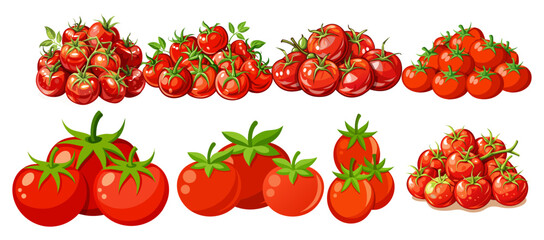 tomato vector, illustration of tomato isolated on white background