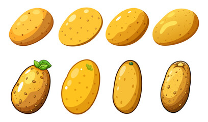 Potato vector, illustration of Potato isolated on white background