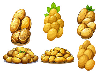 Potato vector, illustration of Potato isolated on white background