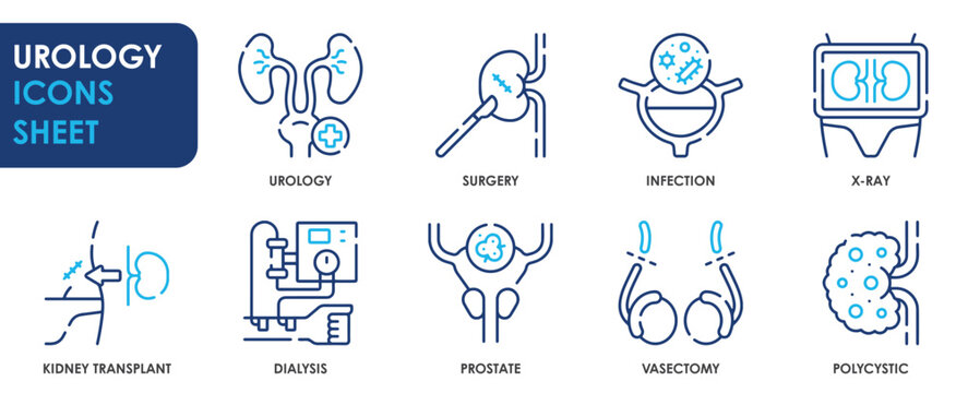 A set of line icons related to Urology. Urine, kidney, surgery, infection, x-ray, disease, dialysis, vasectomy, and polycystic. Vector outline icons set.