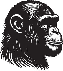 Chimpanzee silhouette vector style with White Backgroumd