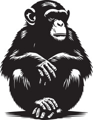 Chimpanzee silhouette vector style with White Backgroumd
