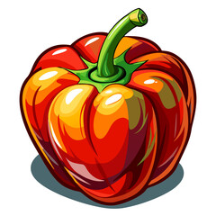 bell pepper vector, illustration of bell pepper isolated on white background