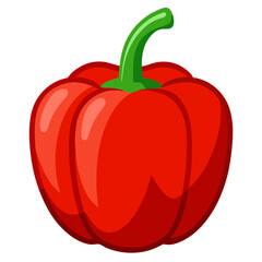 bell pepper vector, illustration of bell pepper isolated on white background
