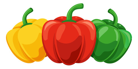 bell pepper vector, illustration of bell pepper isolated on white background