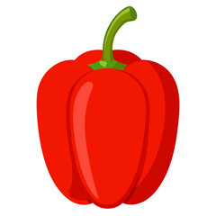 bell pepper vector, illustration of bell pepper isolated on white background