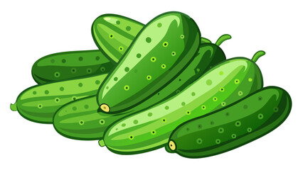 cucumber vector, illustration of cucumber isolated on white background
