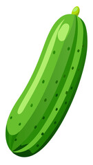 cucumber vector, illustration of cucumber isolated on white background