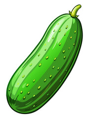 cucumber vector, illustration of cucumber isolated on white background