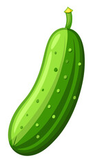 cucumber vector, illustration of cucumber isolated on white background