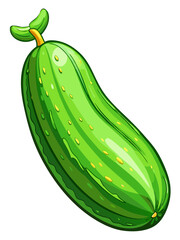 cucumber vector, illustration of cucumber isolated on white background