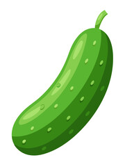 cucumber vector, illustration of cucumber isolated on white background