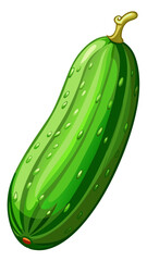 cucumber vector, illustration of cucumber isolated on white background