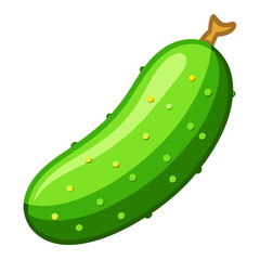 cucumber vector, illustration of cucumber isolated on white background