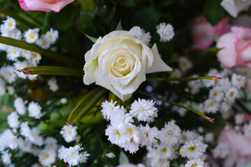Flores e arranjos de Decoração Exclusivas, boquê