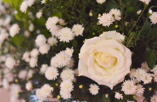 Flores e arranjos de Decora&ccedil;&atilde;o Exclusivas, boqu&ecirc;