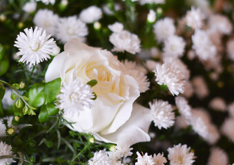 Flores e arranjos de Decoração Exclusivas, boquê