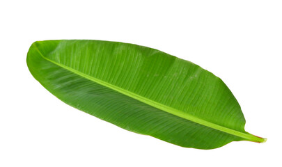 Obraz premium banana leaf on transparent png