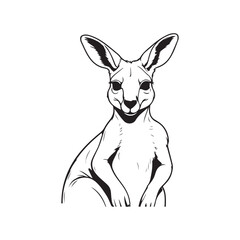 Kangaroo line art vector silhouette with white Background