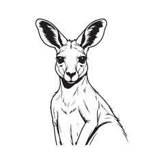 Kangaroo line art vector silhouette with white Background