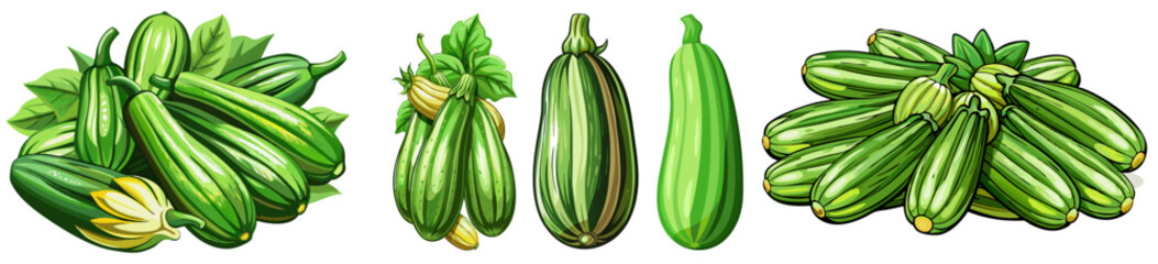 zucchini vector, illustration of zucchini isolated on white background
