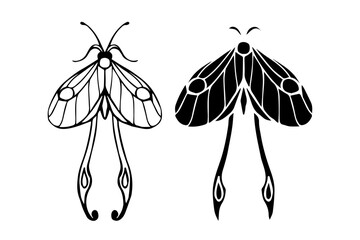 Line sketch,silhouette,stamp of winged insect night moth,butterfly.Vector graphics.
