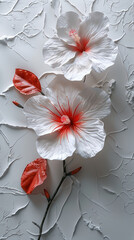 Elegant white hibiscus flowers with red accents set against a textured background, creating a delicate and sophisticated floral composition