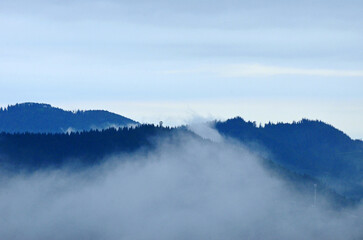 Nebel liegt über dem Schwarzwald