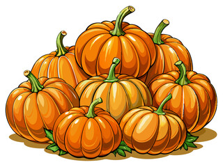 pumpkin vector, illustration of pumpkin isolated on white background