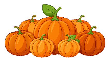pumpkin vector, illustration of pumpkin isolated on white background