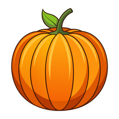 pumpkin vector, illustration of pumpkin isolated on white background