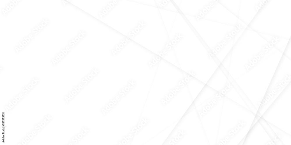 Poster abstract background white gray colors lines pattern texture. geometric design minimal tech lines and
