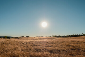 Obraz premium sunset in the field - Arrábida