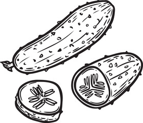 Cucumber line drawing vector illustration.