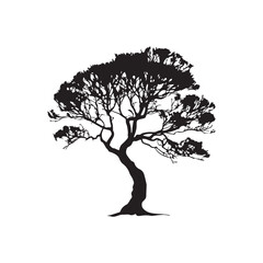 A tree silhouette is a striking, dark outline of a tree against a lighter background, capturing the tree's intricate branches and form in a simple, elegant shape
