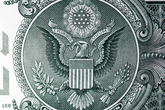 Eagle on the back of the dollar bill. United States national currency banknote fragment