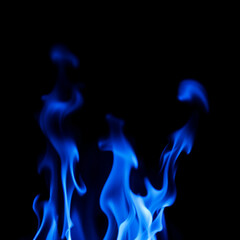 Blue flames rising against a black background creating a mysterious and intense atmosphere