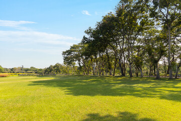 Obraz premium Scenic view of the park with green grass field in city and a cloudy blue sky background. Beautiful green park
