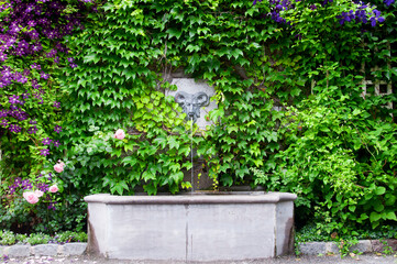 water fountain and natural wall of ivy montreal canada