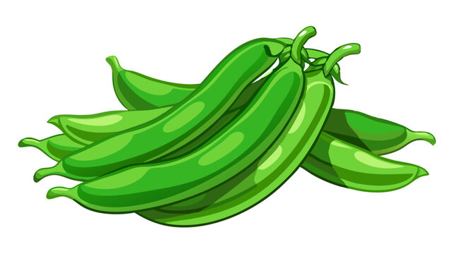green bean vector, illustration of green bean isolated on white background