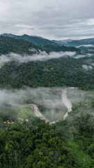 Vertical aerial shot of the Pacuare River bed surrounded by vegetation in the middle of the Caribbean jungle with mountains and fog in the province of Limón in Costa Rica