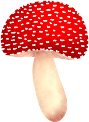mushroom