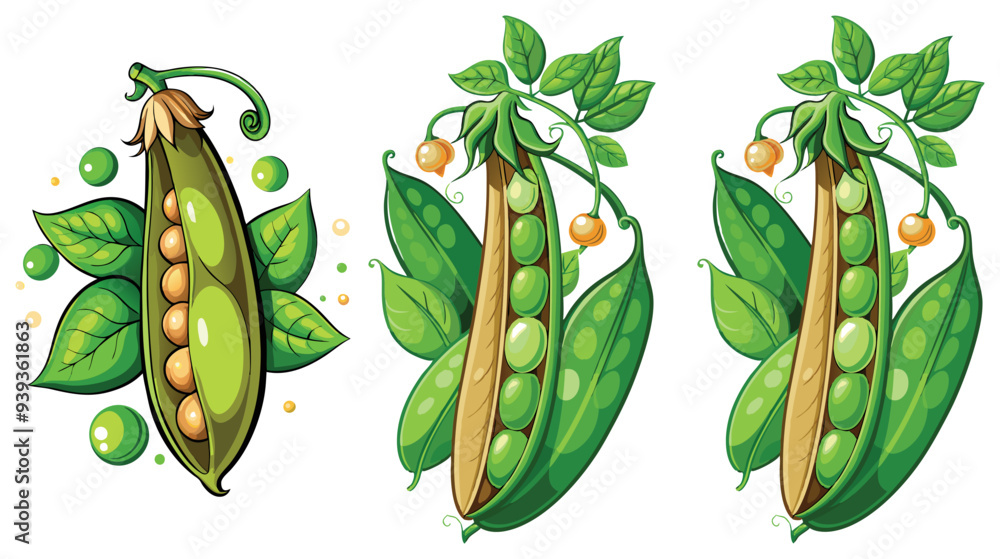 Wall mural green peas, pea vector, illustration of pea isolated on white background