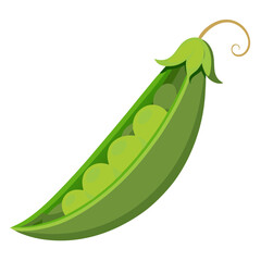 green peas, pea vector, illustration of pea isolated on white background