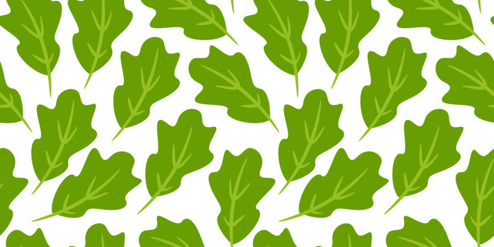 lettuce pattern Background. flat illustration lettuce background. seamless pattern lettuce. lettuce flat illustration background. seamless pattern of lettuce.