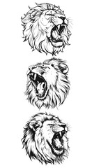 Lion Head Vector Set