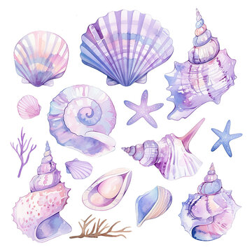 Set Watercolor Purple Seashell Clipart Illustration with PNG Image