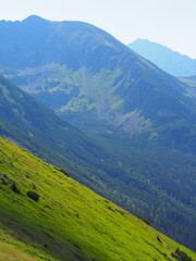 Obraz premium A scenic view of a mountain valley with lush green slopes and distant rocky peaks under a bright clear sky, capturing the essence of untouched natural beauty and tranquility.