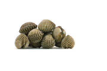 Fresh cockles on white background